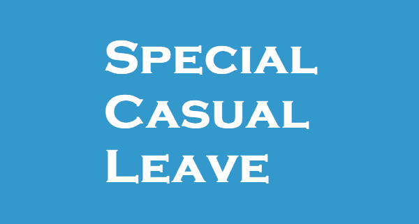 special-casual-leave-general-principles-sarkari-doctor